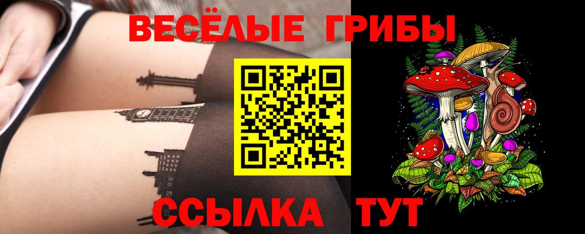 Галлюциногенные грибы Cubensis  цена   Курган  Вход с VPN 